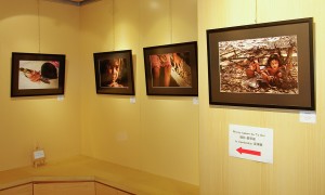 TY Ooi's Exhibits