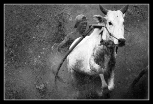Bull Run Bull Run