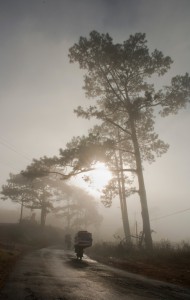 June_06
