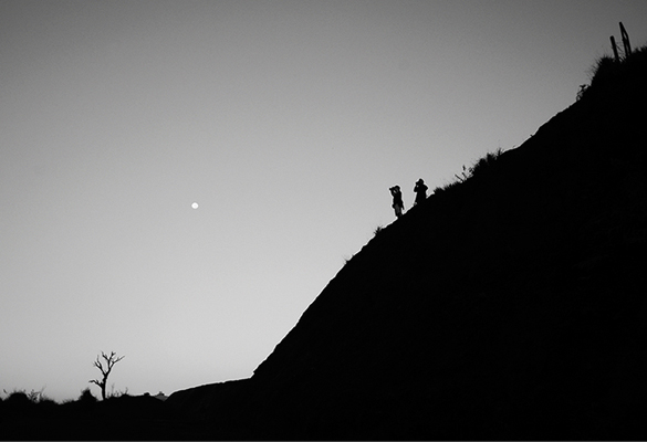ricoh_GXR004
