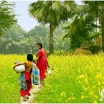 PMPE 5 to Bangladesh – 1-8 Aug, 2010