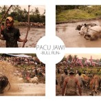 Pacu Jawi (Bull Race) on 6th April 2013 – A Video Presentation by Shen