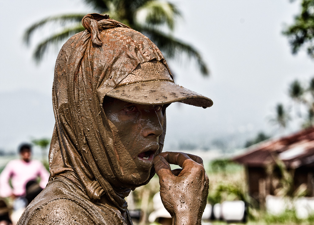 pacu jawi (bull race), indonesia